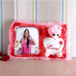 Teddy cushion