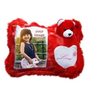 Teddy cushion