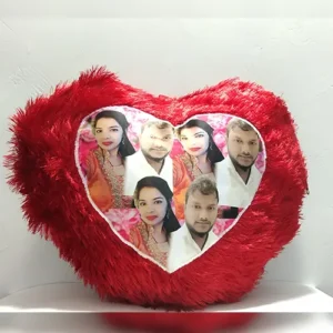 Couple heart cushion