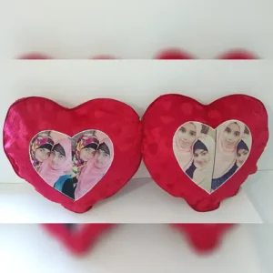 Cushion 2 in 1